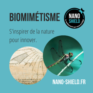 biomimetisme_sinspirer_de_la_nature_pour_innover_nano_shield