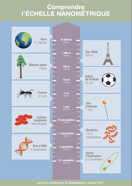 Ce graphique vous permet de comprendre l'échelle nanométrique.