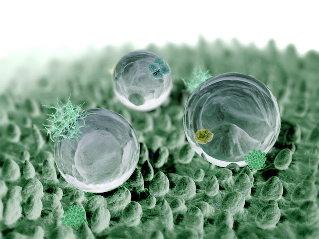 L'effet lotus observé à l'échelle nanométrique.