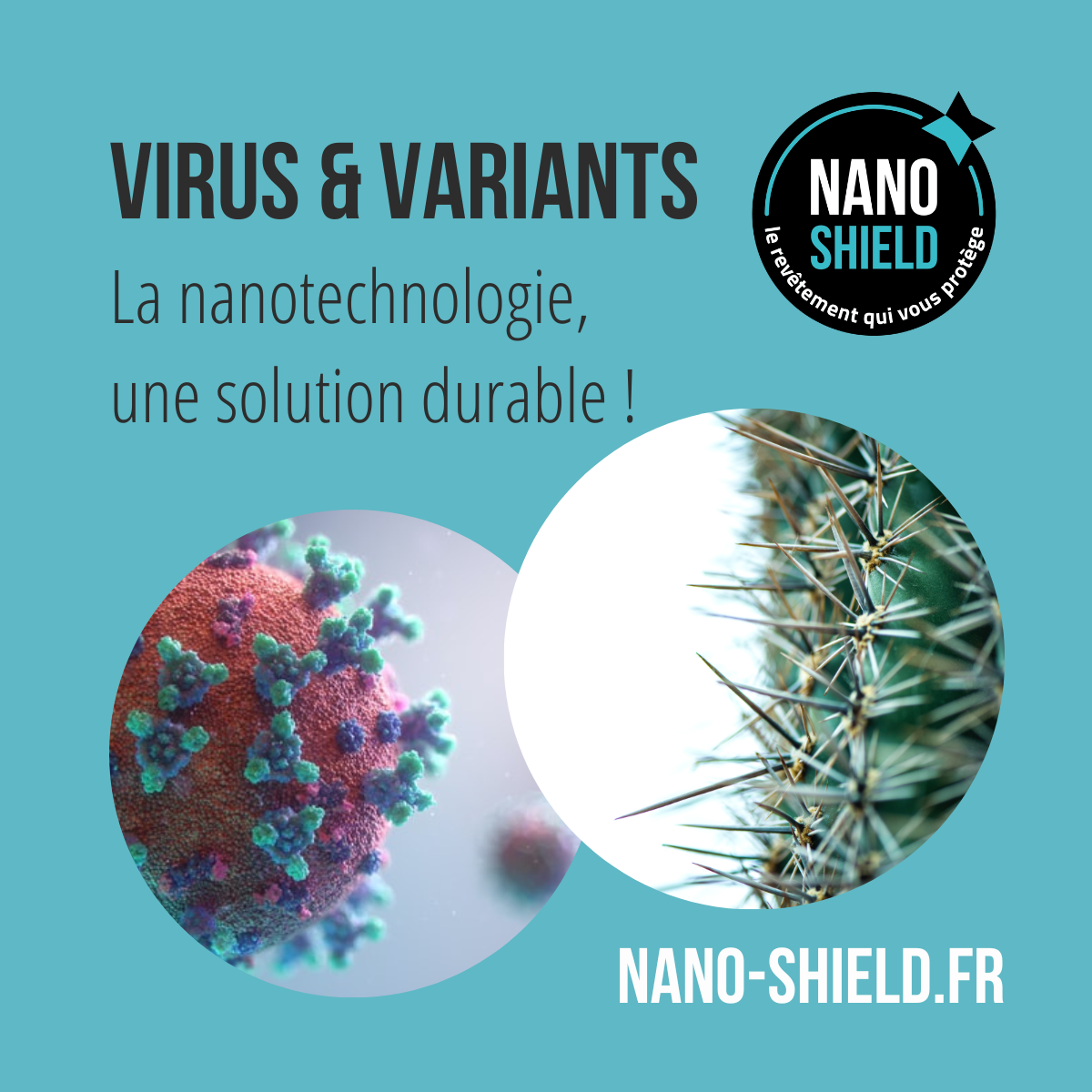 Virus Émergents : Comment Lutter Contre Les Épidémies | Nano-Shield